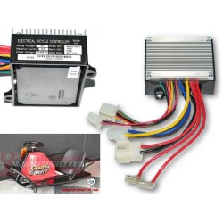 UNIDADE DE CONTROLE DE DERIVA LOUCA 250W