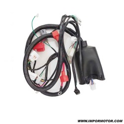 INSTALAÇÃO DO QUAD ATV 150 IMR