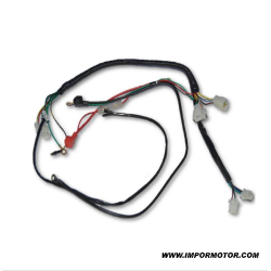 INSTALAÇÃO DO Z190 (CONECTOR DO MOTOR FÊMEA)