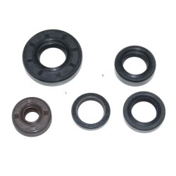 CONJUNTO DE VEDAÇÃO MX65 LC