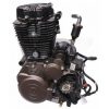 MOTOR 220Z MOTOLIGA